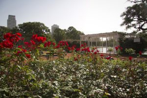 Parque Tres de Febrero (Bosques de Palermo)